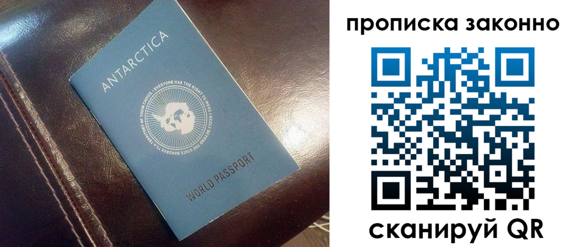 прописка в квартире в Ленинградской области